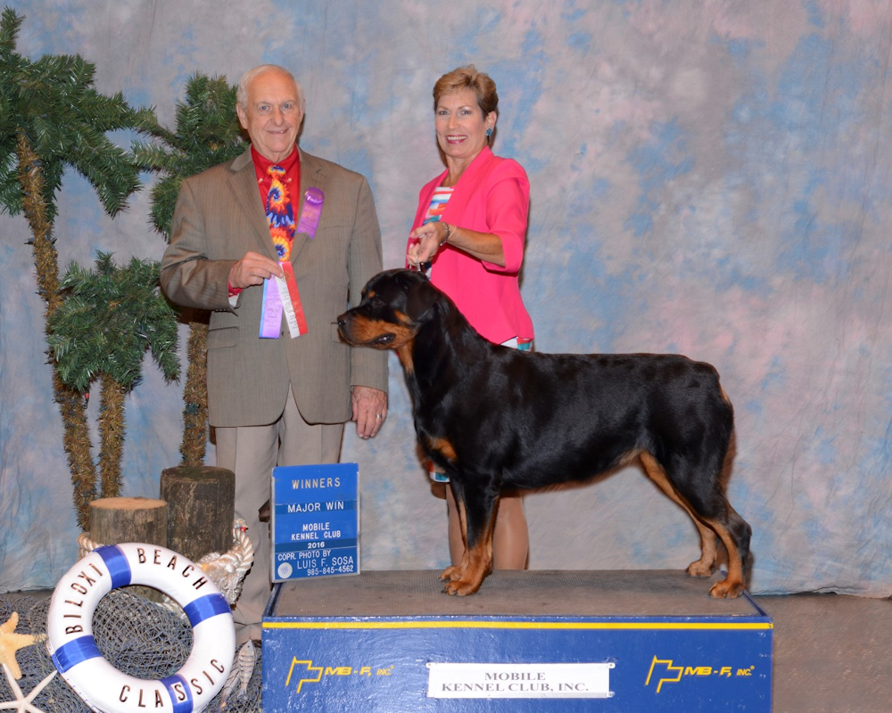 German Rottweiler Grand Champion Fritz - Dam Pebbles