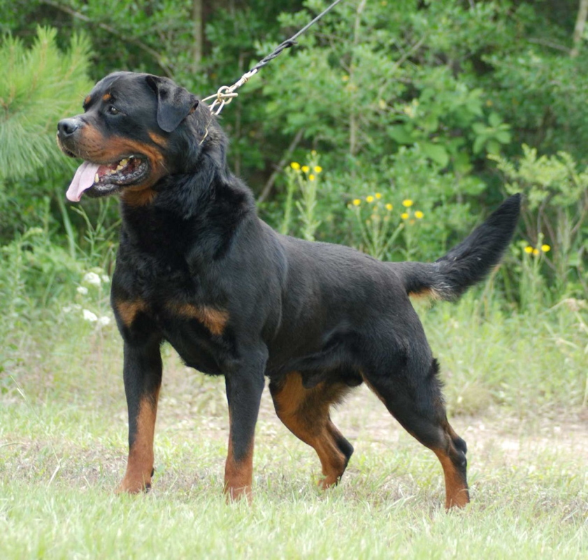Quincy