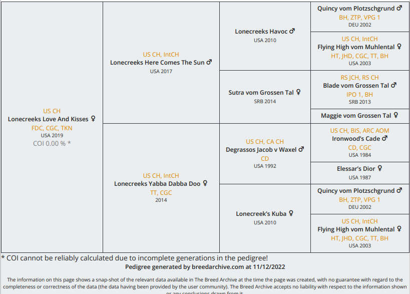 German Rottweiler Pedigree - Smooch