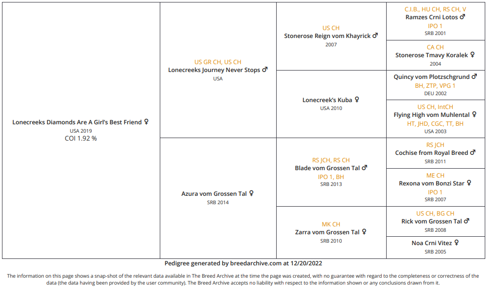 German Rottweiler Pedigree - Sparkle