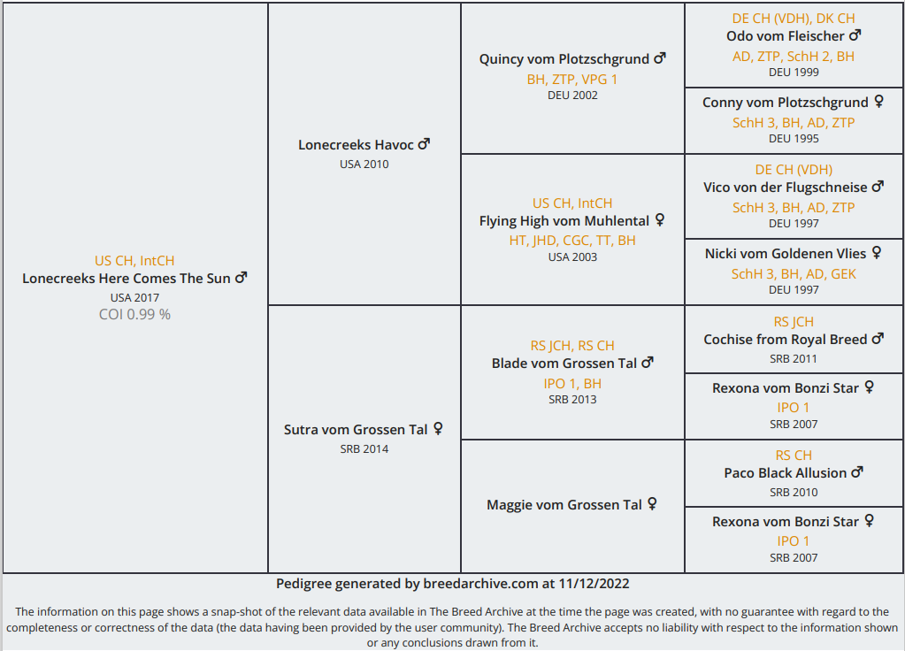 German Rottweiler Pedigree of Sunny